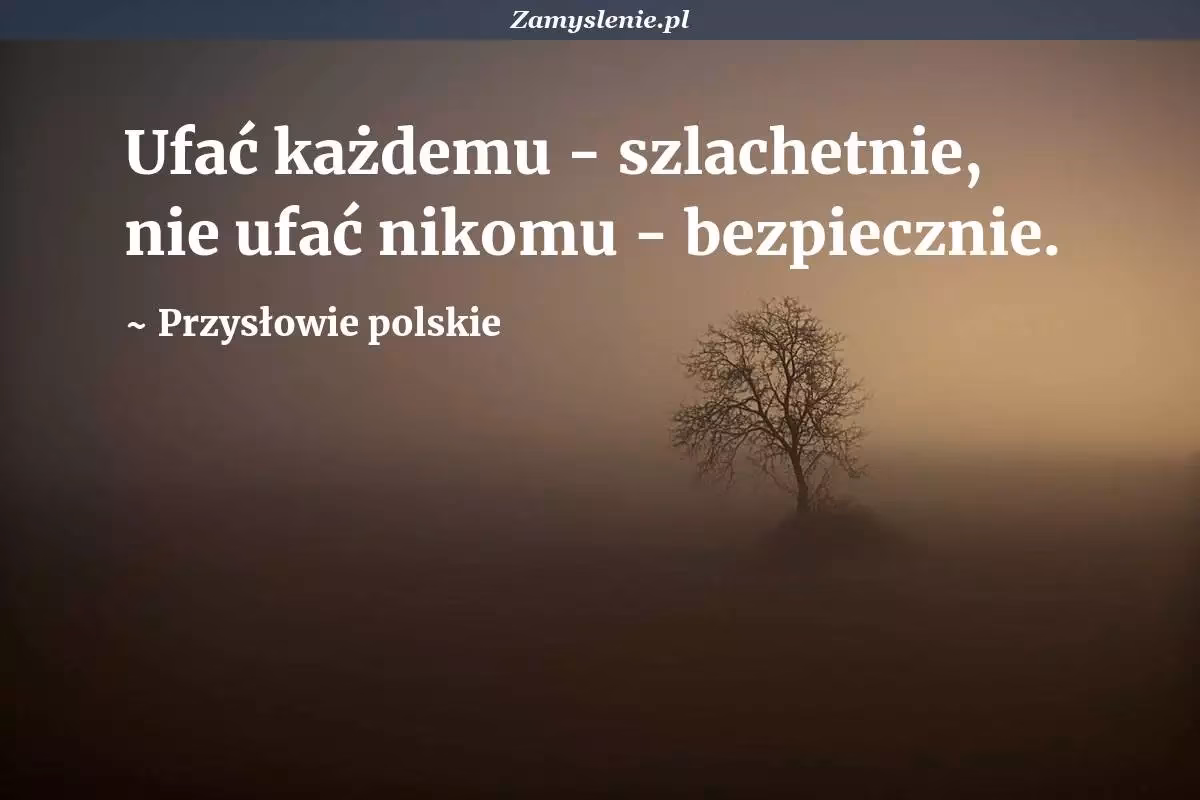 Jakie są przysłowia o głupich?
