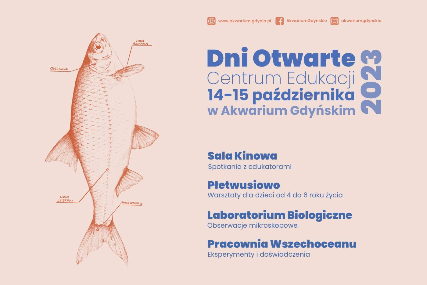 Ile czasu trwa zwiedzanie oceanarium?