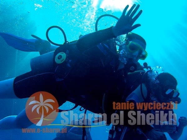 Ile kosztuje kurs nurkowania w Sharm el Sheikh?