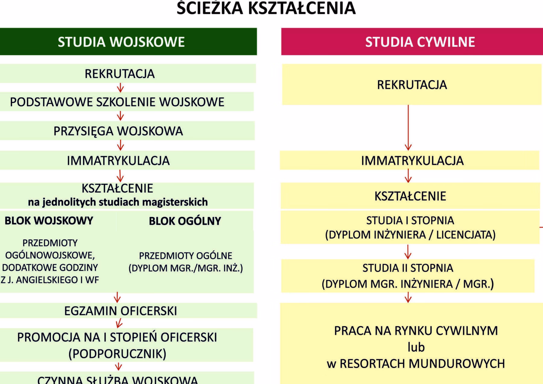 Czy można studiować po angielsku w Polsce?