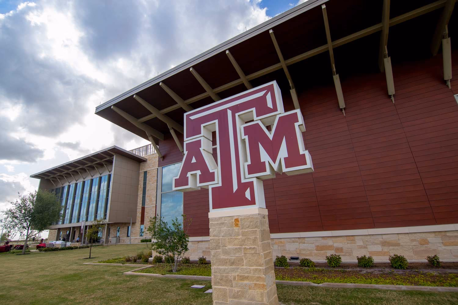 Czy Texas A&M ma program nauczania bibliotekoznawstwa?