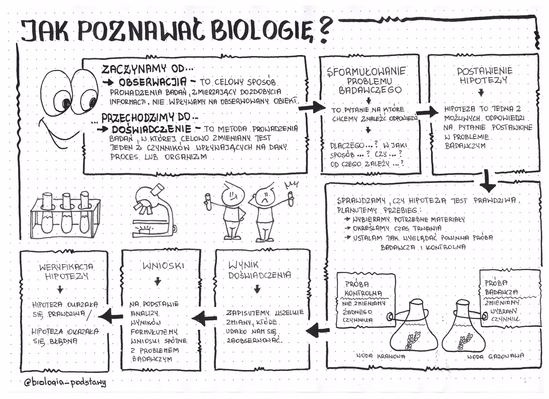 Na czym polegają obserwacje biologiczne?