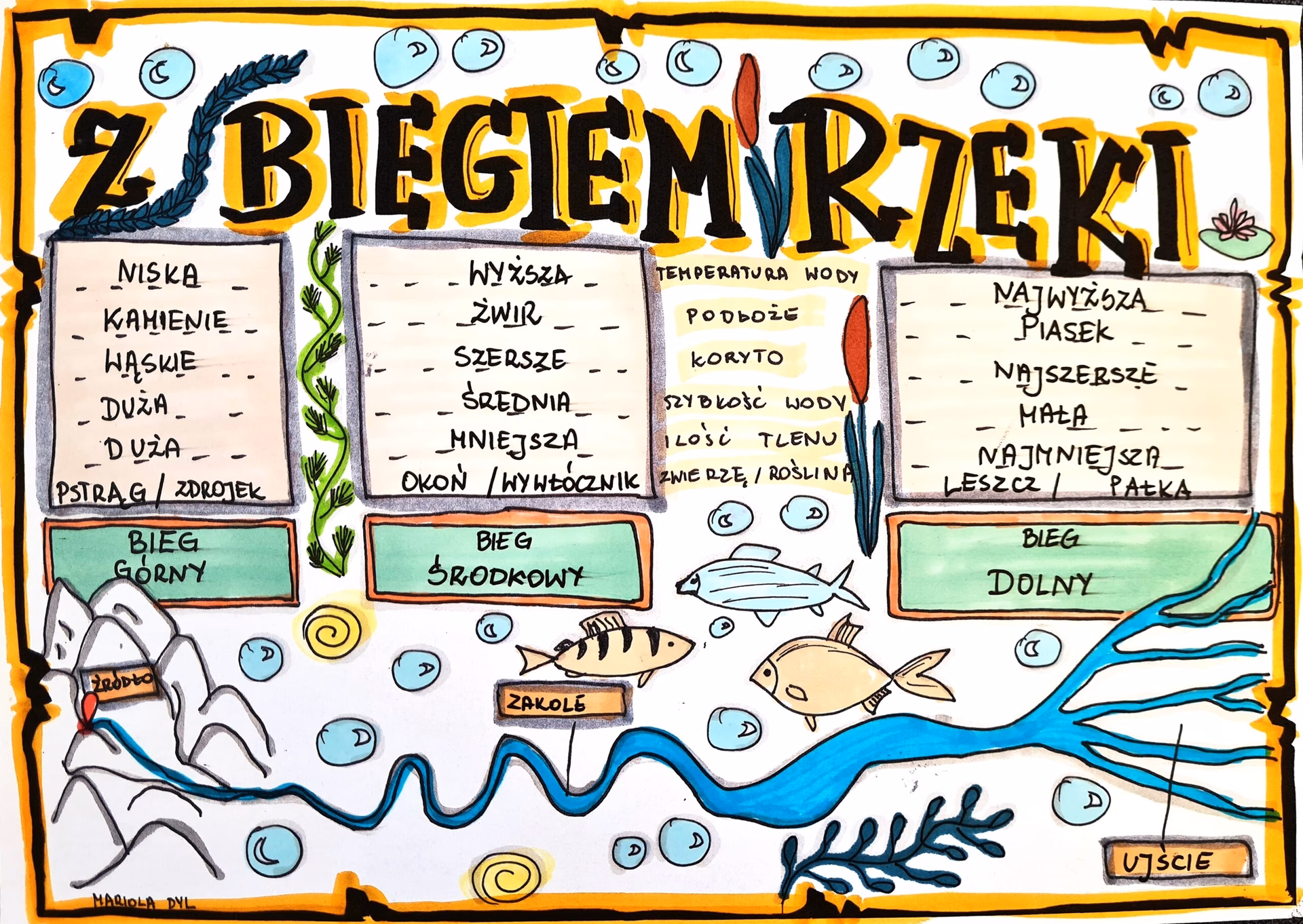 Do czego wykorzystujemy rzeki?