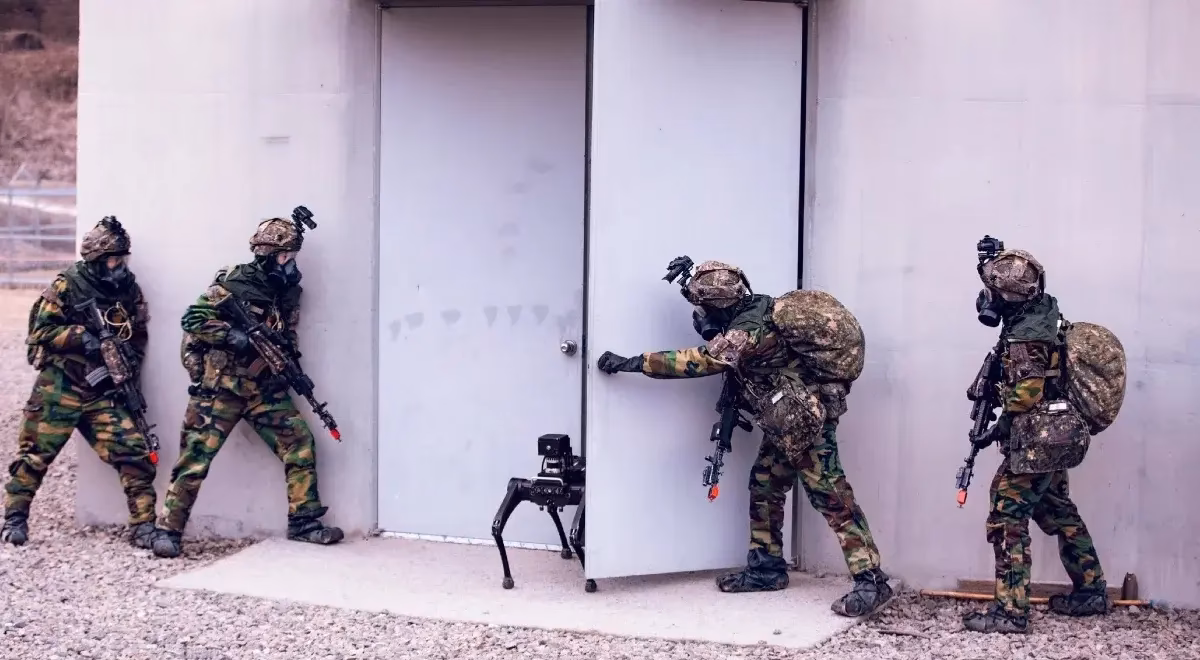 Jakie przedsiewziecia są realizowane przez obronę przed bronią masowego razenia?