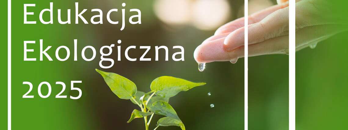 Gdzie wywieźć stare meble Toruń?