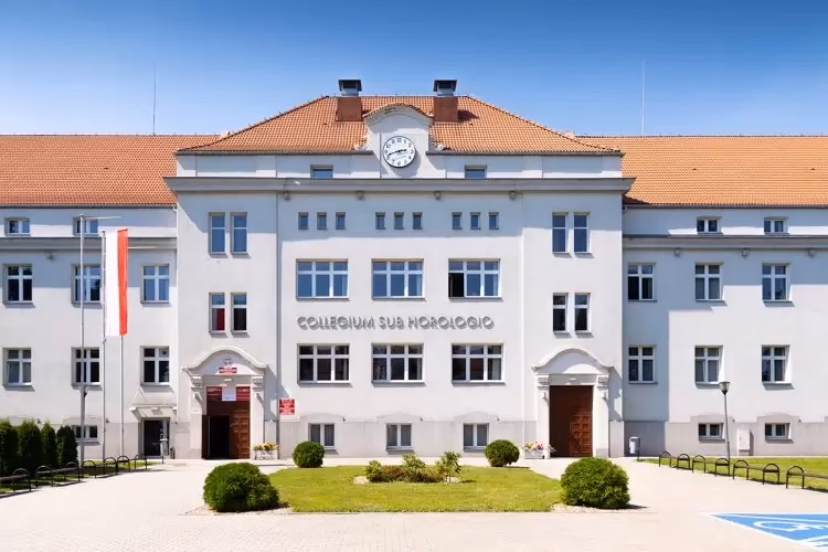 Co to są studia ma?