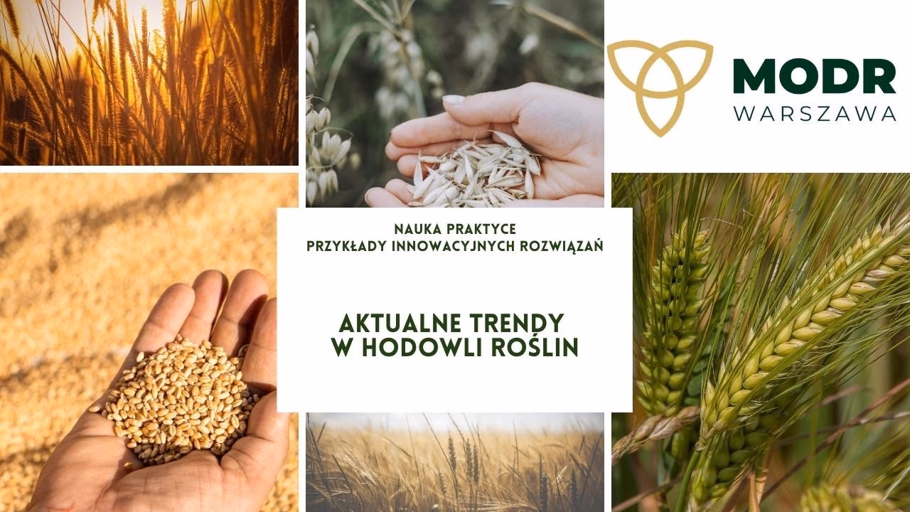 Jakie są metody hodowli roślin?