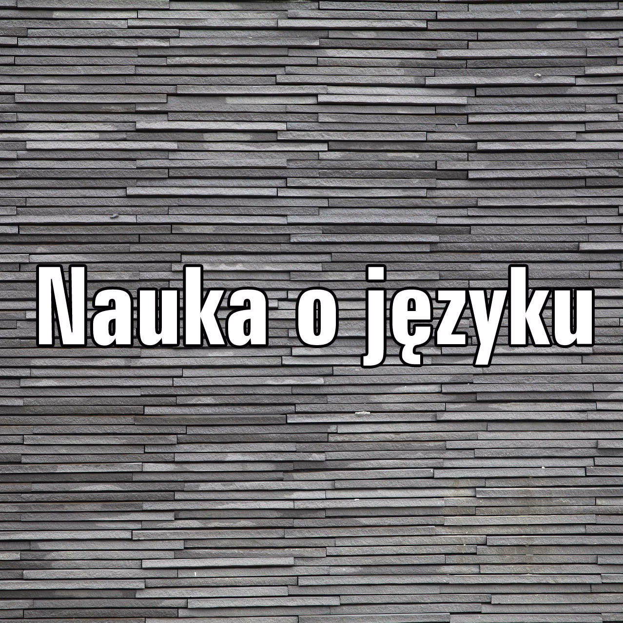 Lingwistyka czym jest?