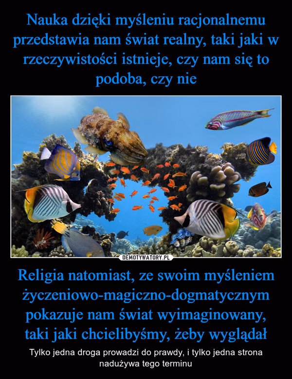 Na czym polega kognitywizm?