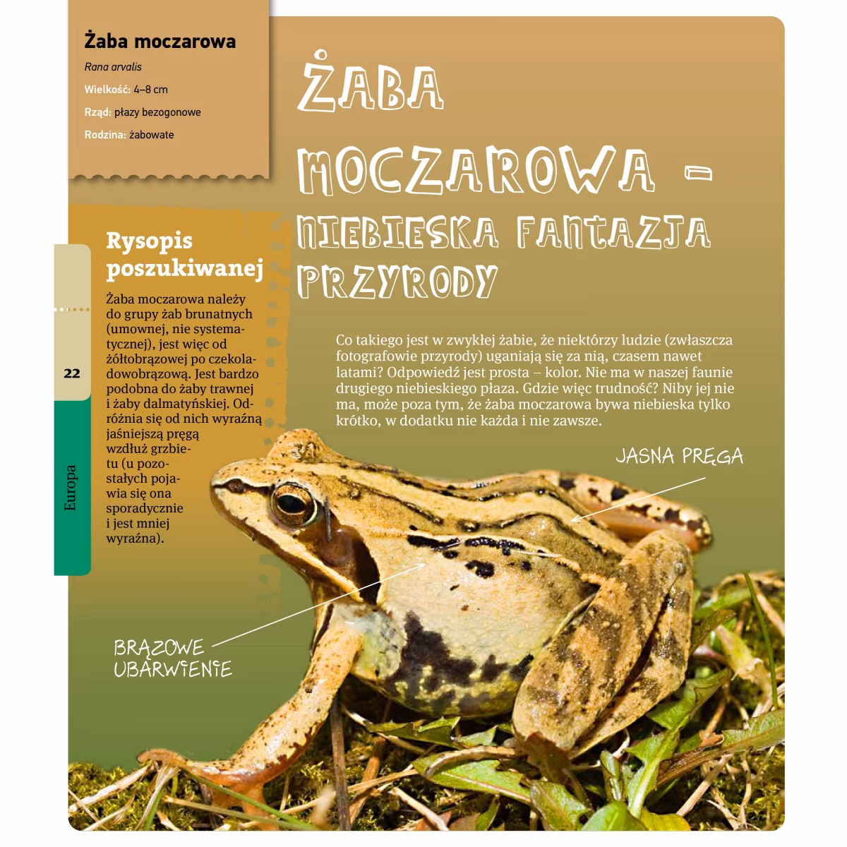 Jak się nazywa specjalista od gadów?