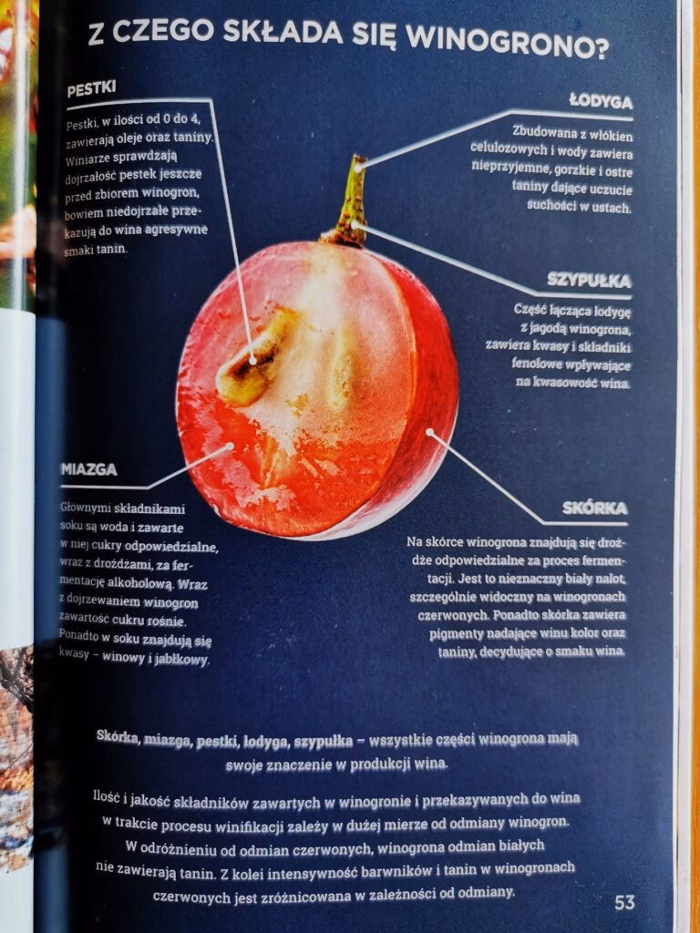 Jak nazywa się proces produkcji wina?