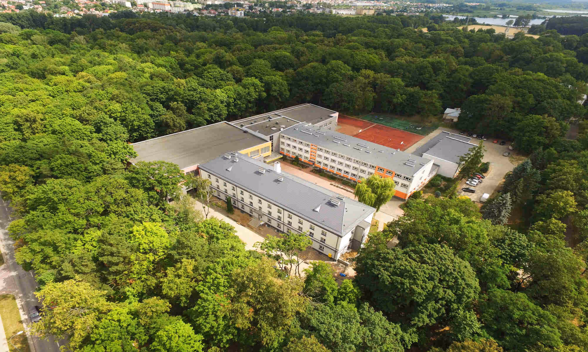 Jakie są kierunki w technikum rolniczym?