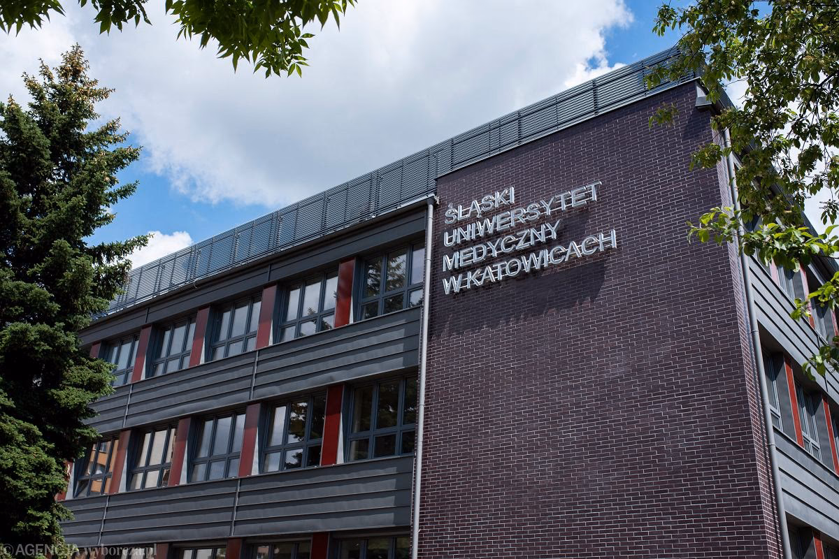 Ile kosztują studia medyczne w Zielonej Górze?