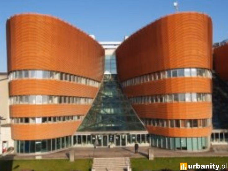 Jakie są kierunki w szkole wyższej?
